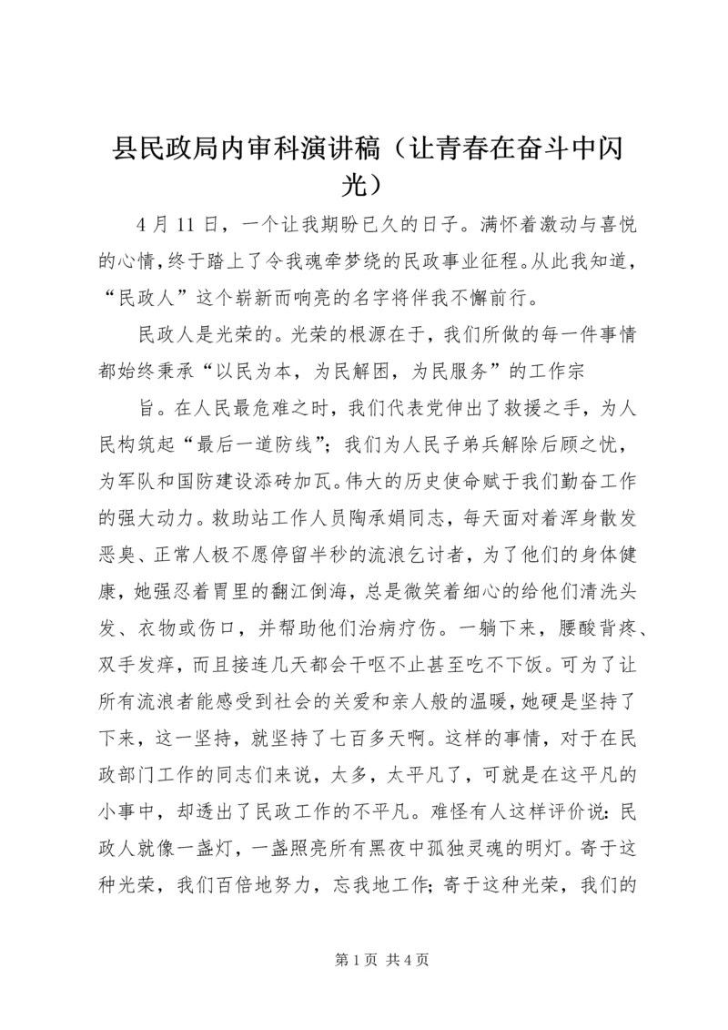 县民政局内审科演讲稿（让青春在奋斗中闪光）.docx