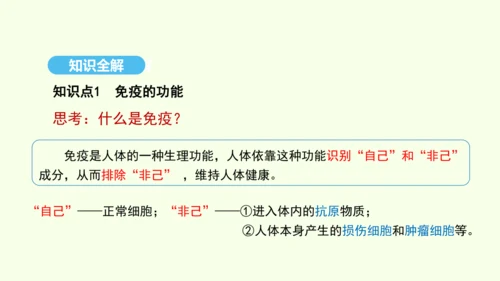 8.1.2.2免疫与计划免疫（第二课时）课件-人教版生物八年级下册(共27张PPT)