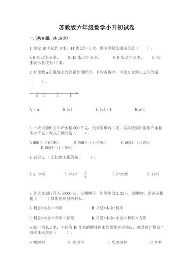苏教版六年级数学小升初试卷及1套完整答案.docx