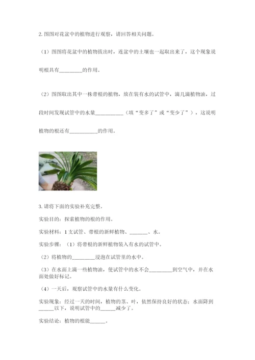 科学四年级下册第一单元《植物的生长变化》测试卷带答案（培优b卷）.docx