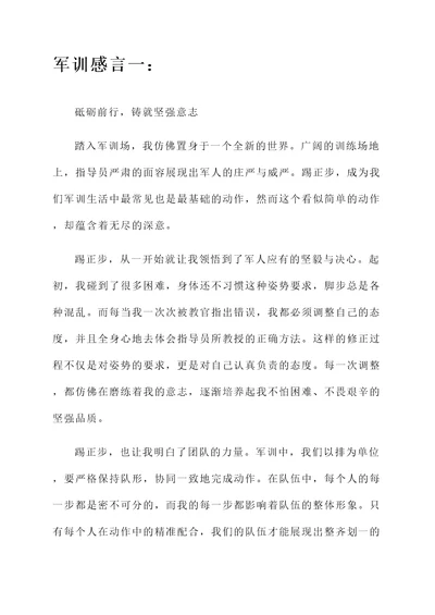 关于踢正步的军训感言