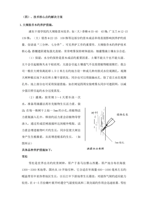 关键工程养护专题方案.docx