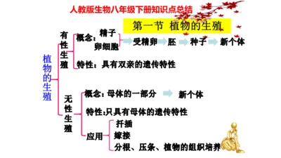 人教版生物八年级下册知识点总结
