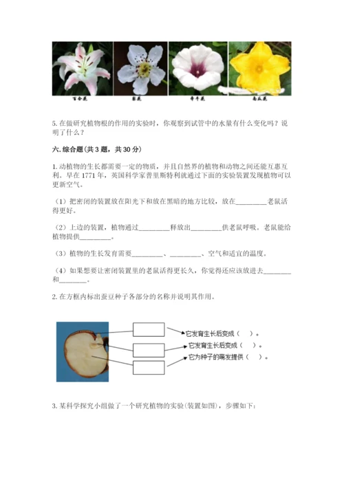 教科版四年级下册科学第一单元《植物的生长变化》测试卷精品（预热题）.docx