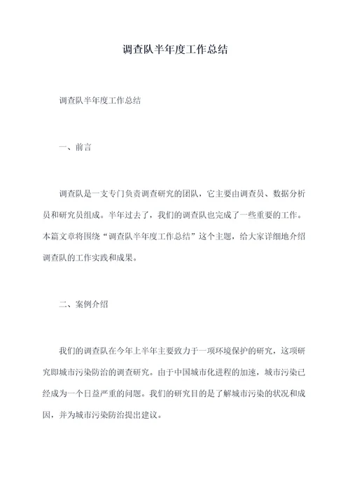 调查队半年度工作总结