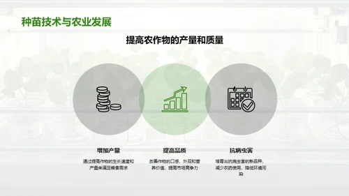 种苗科技助力农业