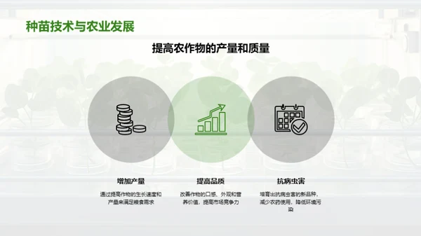 种苗科技助力农业