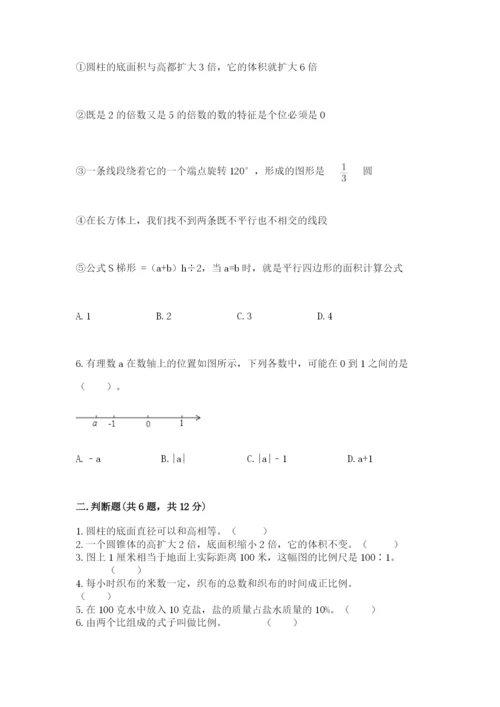 上海市松江区六年级下册数学期末测试卷完美版.docx