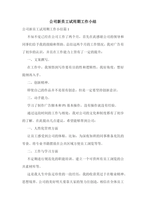 公司新员工试用期工作小结.docx