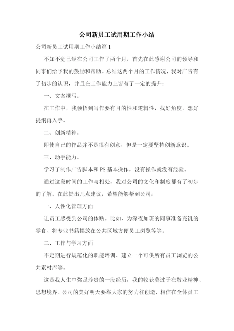 公司新员工试用期工作小结.docx