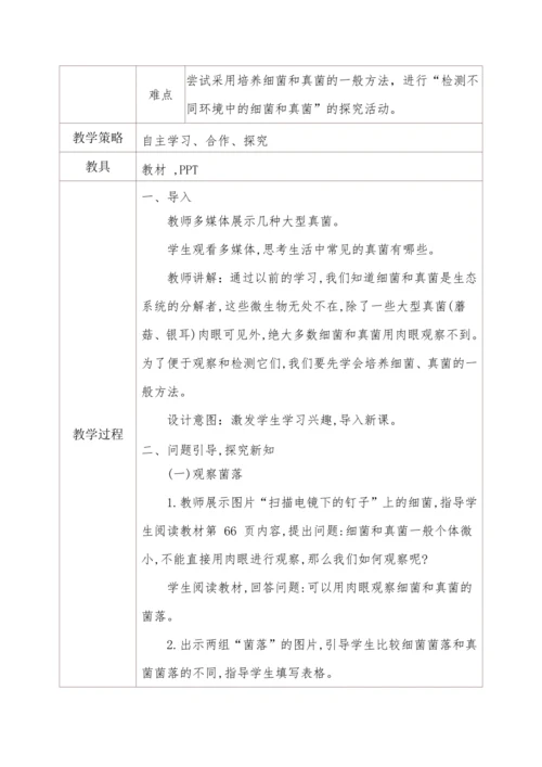 5.4.1细菌和真菌的分布