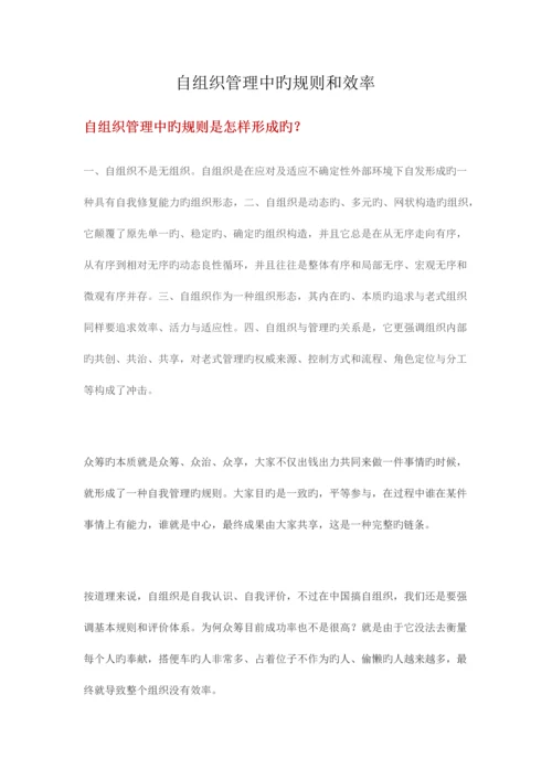 自组织管理中的规则和效率.docx