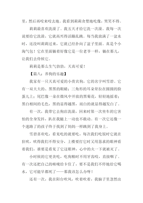 养狗的乐趣作文500字.docx