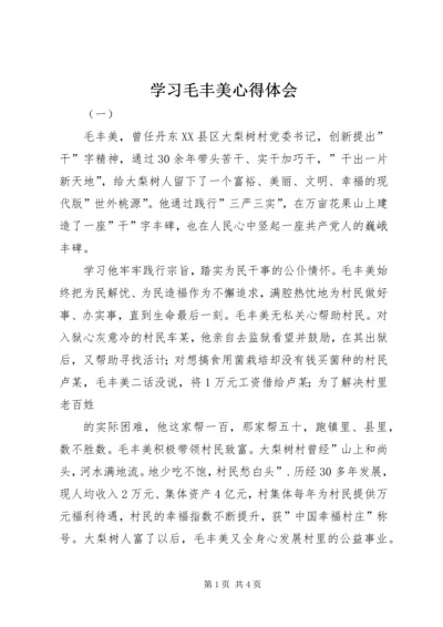 学习毛丰美心得体会 (9).docx