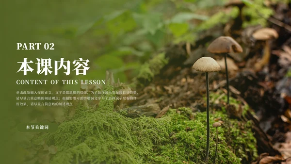 蜜蜂采蜜自然与科学通用PPT模板