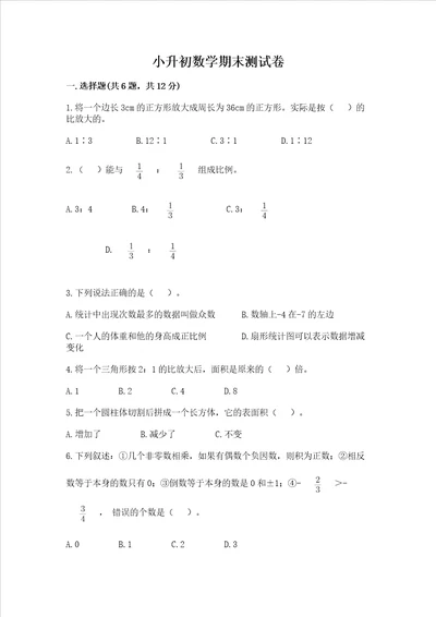 小升初数学期末测试卷名师系列