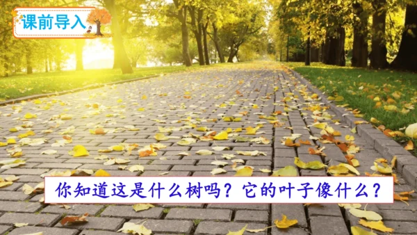 5《铺满金色巴掌的水泥道》   课件