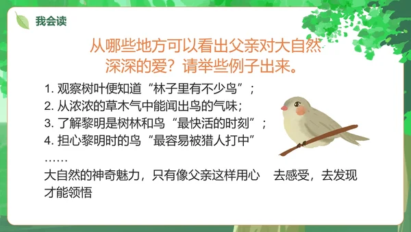 部编版三年级上册《父亲树林和鸟》课件PPT模板