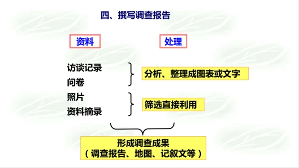 综合探究五：如何开展社会调查——以调查家乡为例 课件