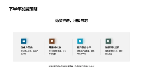 半年业绩回顾与展望