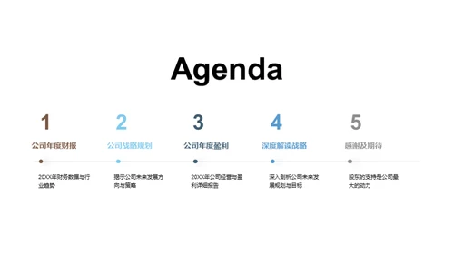 公司未来发展规划