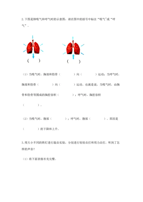 教科版科学四年级上册期末测试卷（原创题）.docx