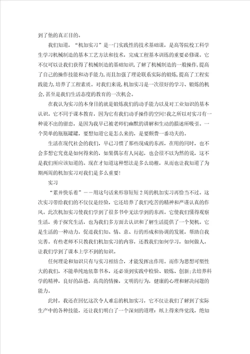 关于工厂的实习报告模板集合10篇