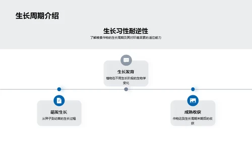 粮食作物深度解析