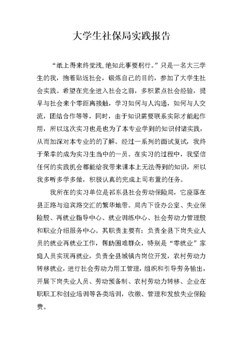 大学生社保局实践报告