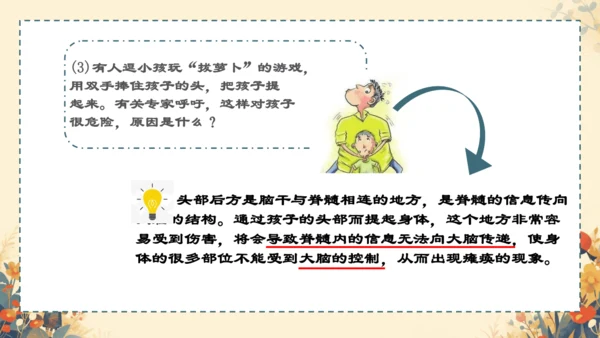 人教版（新课程标准）七年级下册4.6.2  神经系统的组成课件(共20张PPT)