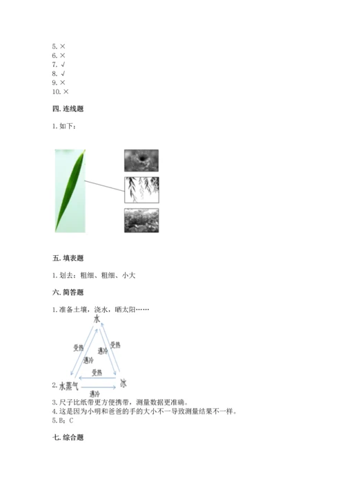 教科版一年级上册科学期末测试卷（精选题）.docx