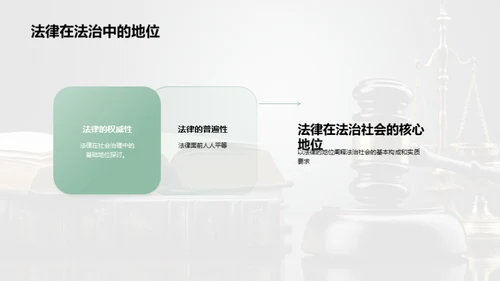 法治社会深度解析