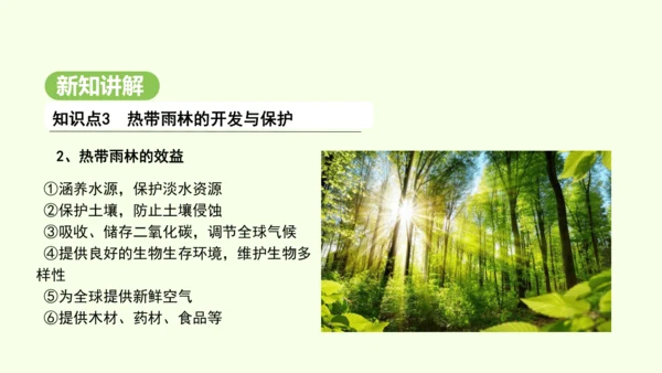 10.2.2 热带雨林的开发与保护（课件31张）-2024-2025学年七年级地理下学期人教版(20