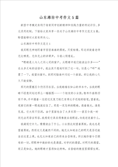 山东潍坊中考作文5篇