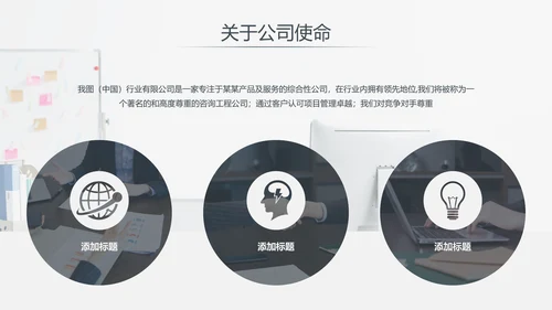 优雅欧美风企业宣传公司简介商务PPT模板