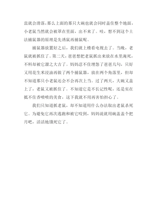 写老鼠的作文.docx