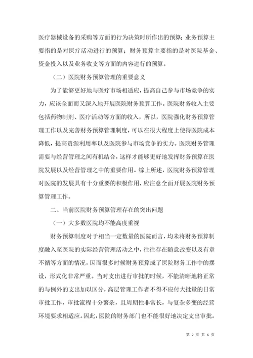 医院财务预算管理要点.docx