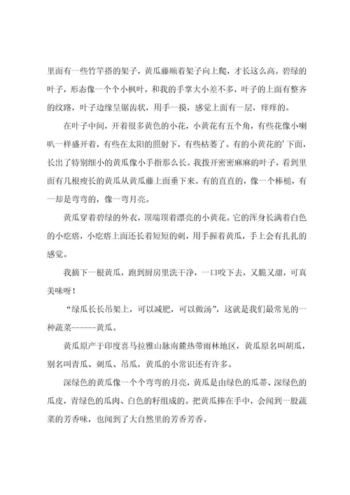 描写黄瓜的作文