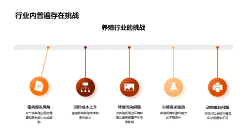 产鸡养殖挑战与优化