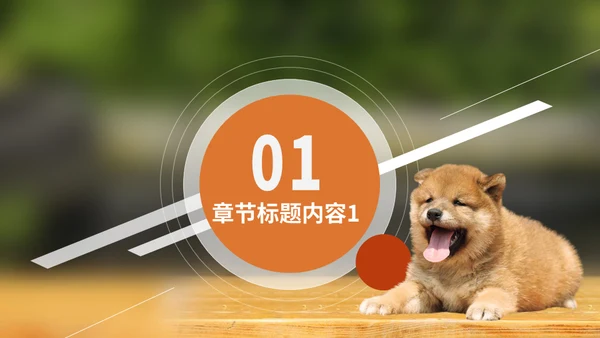 宠物乐园萌宠狗狗主题通用PPT模板