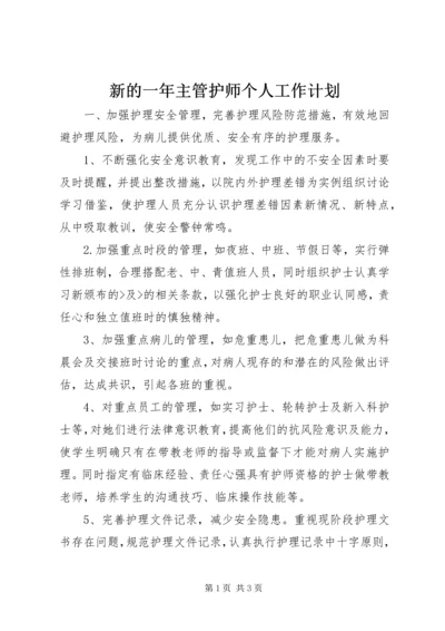 新的一年主管护师个人工作计划.docx