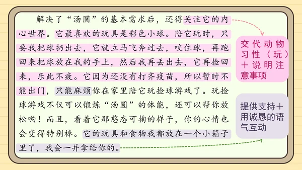 统编版语文四年级下册习作：我的动物朋友（课件）