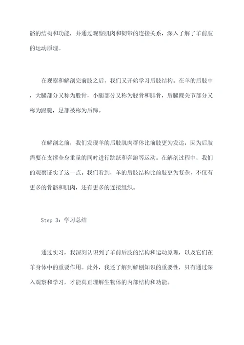 羊前后肢解剖实习报告