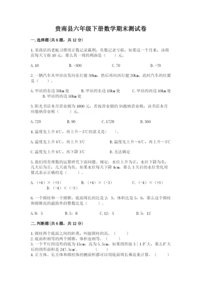 贵南县六年级下册数学期末测试卷（达标题）.docx