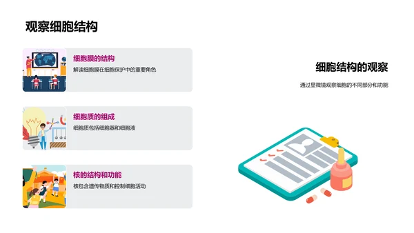 细胞知识讲解PPT模板