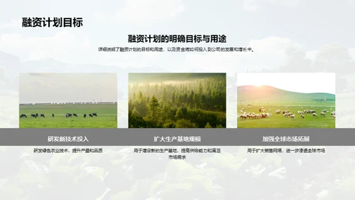 绿色农业创新投资