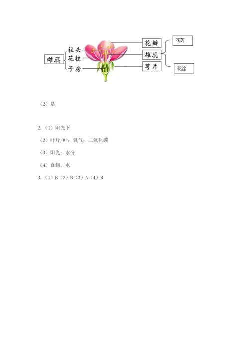 科学四年级下册第一单元《植物的生长变化》测试卷及完整答案（夺冠系列）.docx