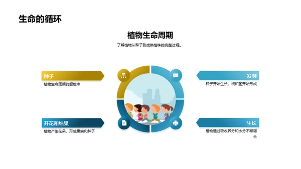 揭秘植物生长之旅