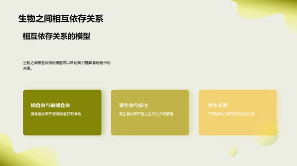 揭秘生态食物链