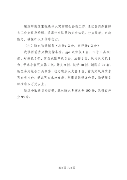 乡镇森林防火目标管理责任自检自查报告.docx